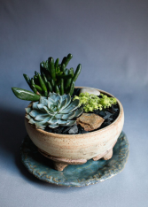 Succulent Garden in Handmade Footed Pottery Bowl Succulent Garden