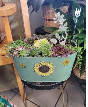 Succulent garden in sunflower container  
