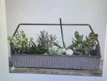 Awesome Blossom Kamloops Local Flower Shop Butterfly Garden Bouquet - succulent garden in a galvanized ripple box planter 6x18