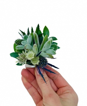 Succulent Garden Stick-On Boutonniere Dance Flowers