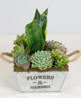 Succulent Garden Tin