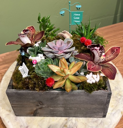 Succulent Garden Wooden Box