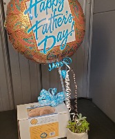 Succulent Garden/Mushroom grow kit Father's Day Special