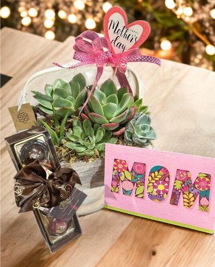 Succulent Gift Basket Set With Truffles and a Handwritten Card