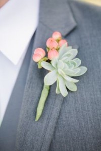 Succulent & Hypericum Boutonniere  in Fort Worth, TX | DAVIS FLORAL DESIGNS