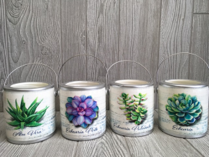 Succulent jar candle  