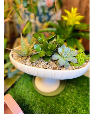 Succulent Pedestal  in Fairview, OR | QUAD'S GARDEN - Home to Trinette's Floral