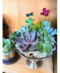 *ON SALE* Succulent Pedestal House Plant