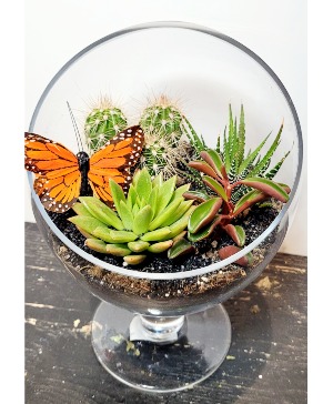 Succulent Planter 