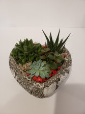 Succulent Planter Heart  