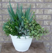 SUCCULENT PLANTER Indoor/Outdoor Plant