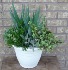 SUCCULENT PLANTER Indoor/Outdoor Plant
