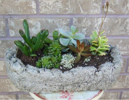 SUCCULENT PLANTER Planter