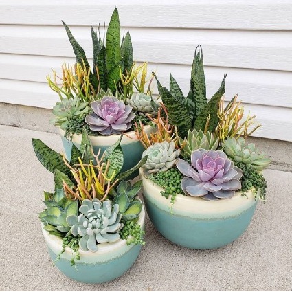 Succulent Planters (assorted sizes and styles) 
