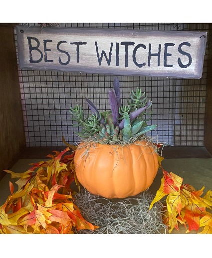Succulent Pumpkin Arrangement Plants/Succulents