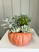 Succulent Pumpkin Planter 