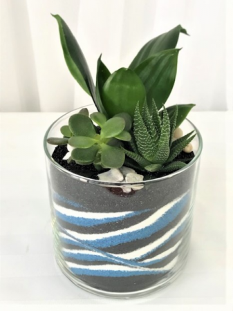 Succulent Sand Art Succulent Sand Art