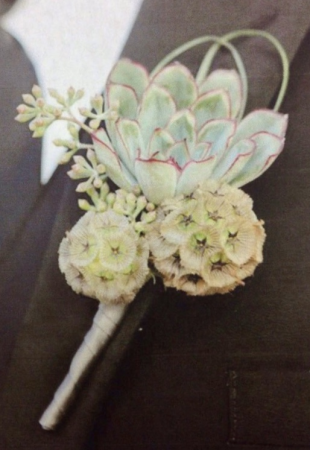 Succulent & Scabiosa Boutonniere
