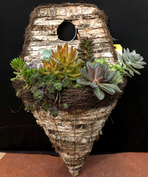 Succulent Wall Basket 1 