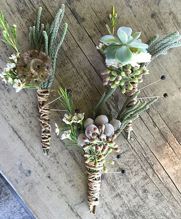 Succulent Serenity Boutonniere in San Rafael, CA | BURNS FLORIST