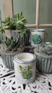 Succulent Plant & Spa Candle