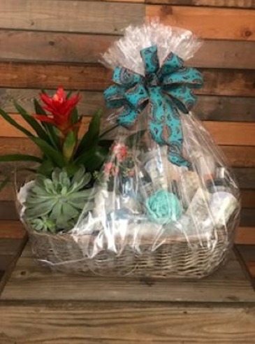 Succulent Spa Basket Succulent plants, spa gifts wrapped in a basket in Wellston, OK | Chelle's Petals