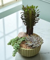 Succulent Stonescape Dish Garden