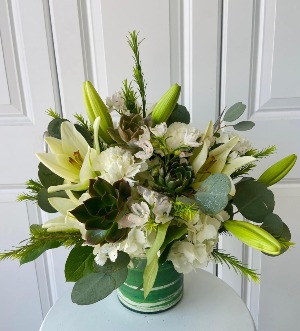 Succulent beauty $79.99 - $99.99
