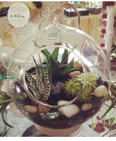 Succulent Terrarium 