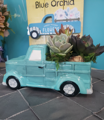 Succulent Truck   in Richmond, MI | The Blue Orchid
