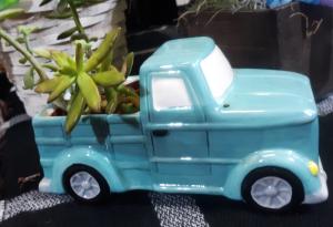 Succulent Truck  Plant with Keepsake