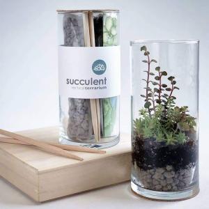 Vertical Succulent Terrarium Grow Kit