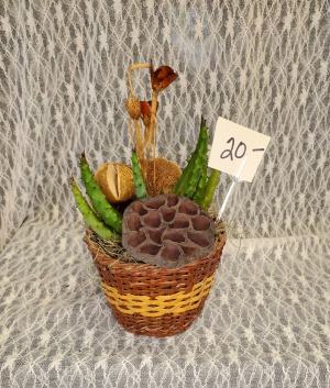 Succulent w Lotus Pod in basket 