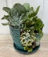 Succulent Waterfall in Ceramic 