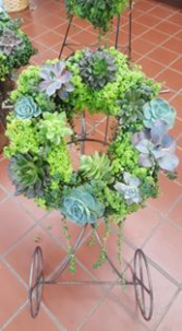 Succulent Wreath