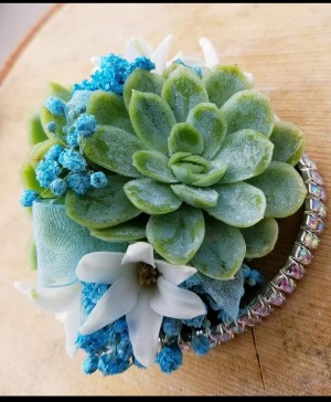 Succulent Wrist Corsage  