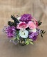 Succulents & Blooms 