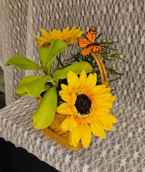 Succulents in Basket w/ Butterfly 