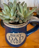 Succulents in dad mug ☕️  