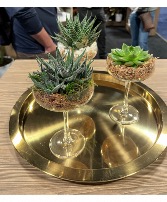 Succulents in stemed glass ware 