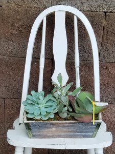 Succulents in Wooden Planter 