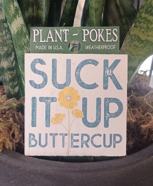 Suck It Up Plant Stake 