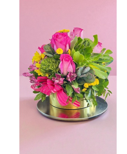 Suculentas  Suculentas flowers 