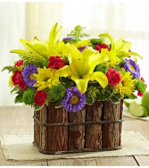 Suddenly Spring Arrangement