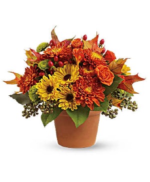 Sugar Maples arrangement 