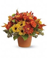 Sugar Maples Vase arrangement