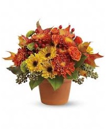 Sugar Maples Vase arrangement