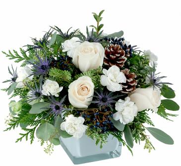 Sugar Plum Fairy Arrangement in Winnipeg, MB | CHARLESWOOD FLORISTS Sugar Plum Fairy Arrangement in Winnipeg, MB | CHARLESWOOD FLORISTS
