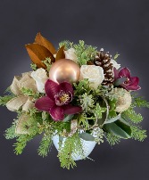 Sugar Plum Present 