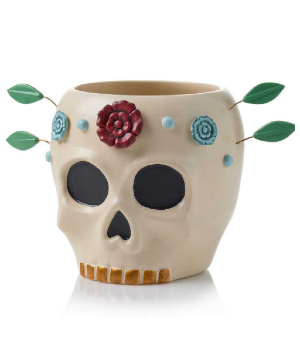 Sugar Skull Planter Pot